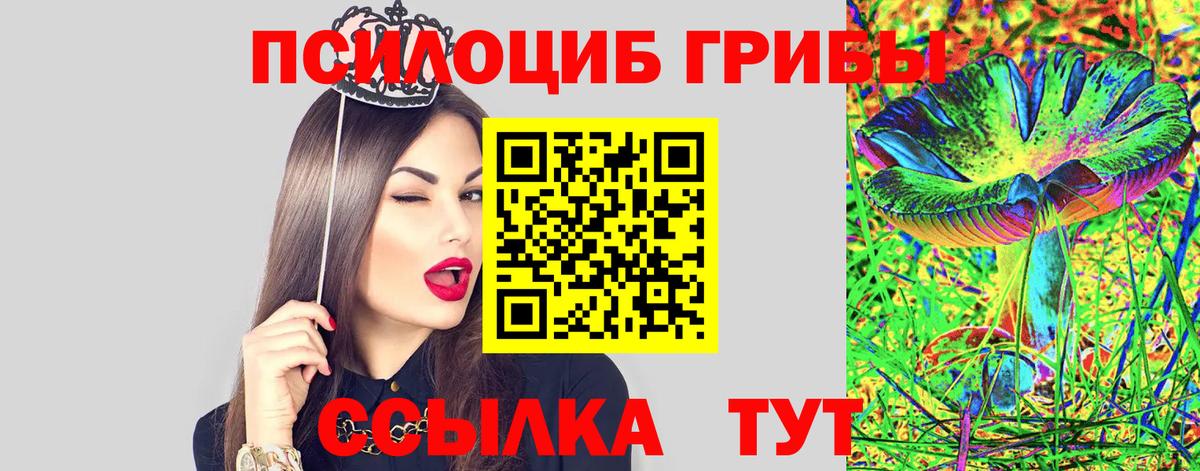 Псилоцибиновые грибы Cubensis Гудермес