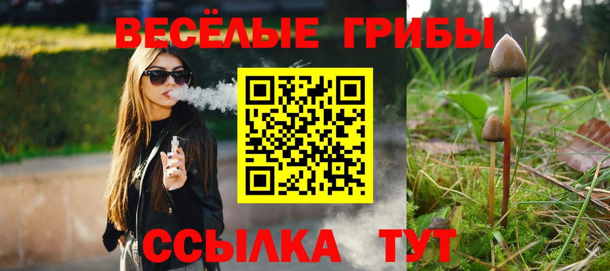 Галлюциногенные грибы Magic Shrooms  Вход с VPN  Гудермес  Псилоцибиновые грибы Psilocybine cubensis 